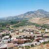 Burgio_2009 (597)